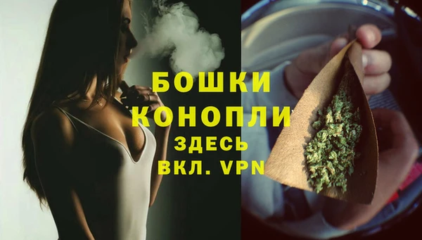 Альфа ПВП Белокуриха