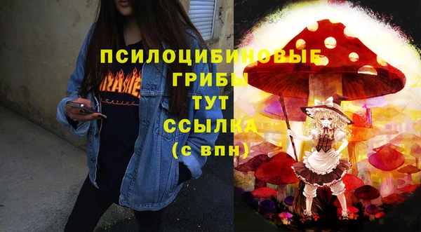 прущий лед Белоозёрский