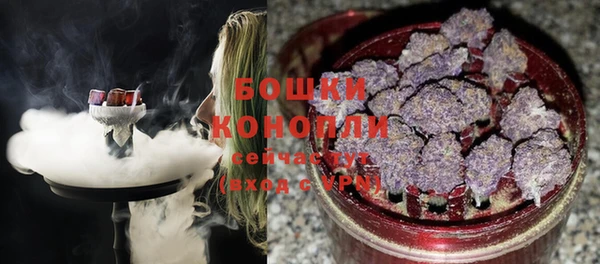 Альфа ПВП Белокуриха